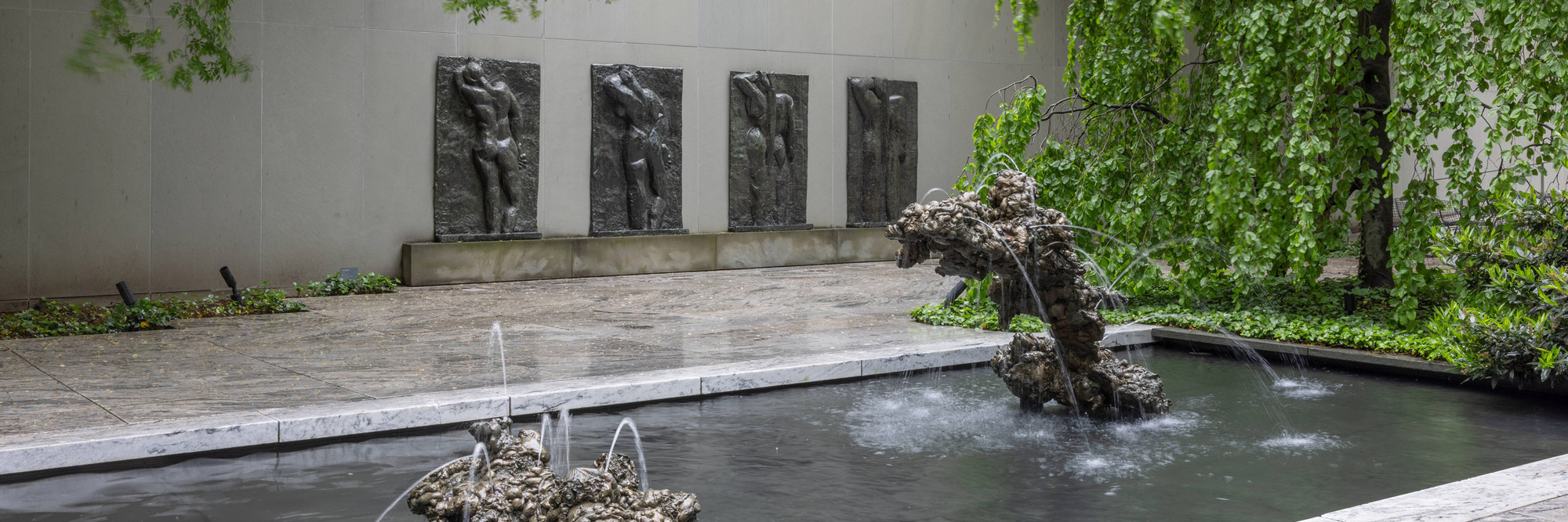 Oasis in the City
